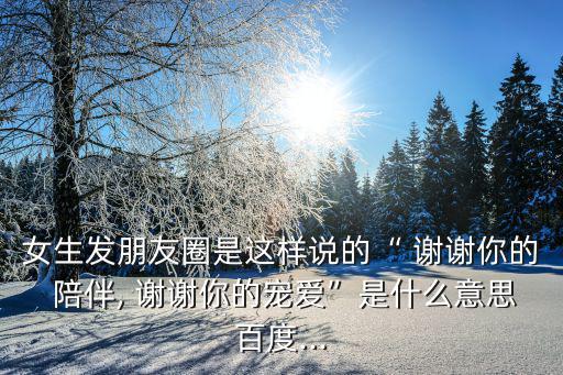 謝謝你曾經的陪伴,謝謝你的陪伴