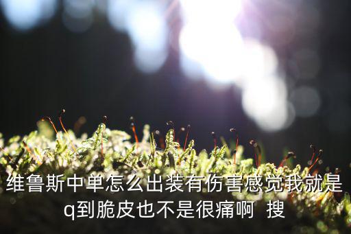 維魯斯中單怎么出裝有傷害感覺我就是q到脆皮也不是很痛啊  搜