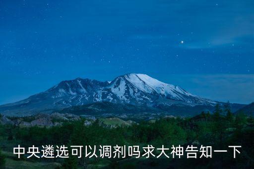 中央遴選可以調劑嗎求大神告知一下