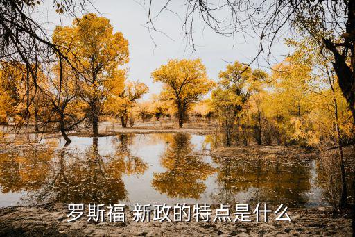 羅斯福新政時(shí)間,開(kāi)創(chuàng)國(guó)家干預(yù)經(jīng)濟(jì)新模式羅斯福新政三大突破