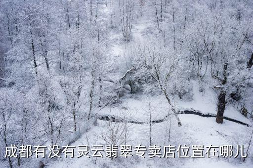 成都有沒有靈云翡翠專賣店位置在哪兒
