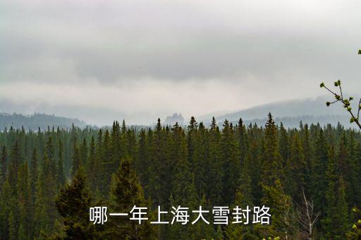 哪一年上海大雪封路