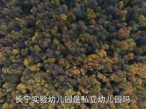 長寧實(shí)驗(yàn)幼兒園是私立幼兒園嗎