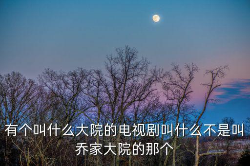有個叫什么大院的電視劇叫什么不是叫喬家大院的那個