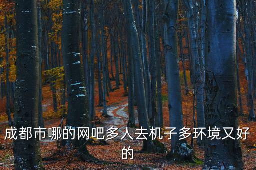 成都市哪的網吧多人去機子多環境又好的