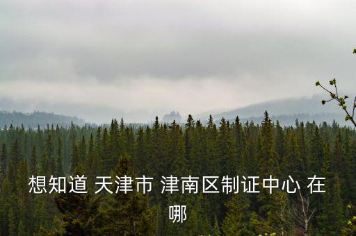 想知道 天津市 津南區制證中心 在哪