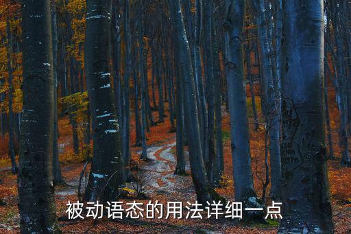 被動語態的用法詳細一點