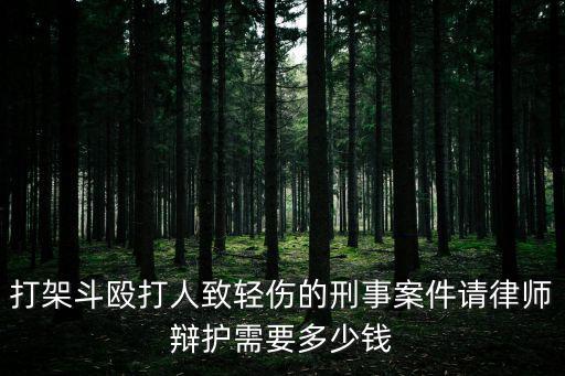 長沙刑事案件律師收費標準，一般的刑事案件請一個律師大概費用需要多少
