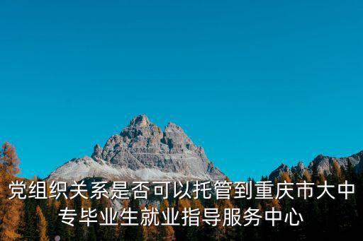 尹軍 重慶市委組織部，黨組織關(guān)系是否可以托管到重慶市大中專畢業(yè)生就業(yè)指導(dǎo)服務(wù)中心