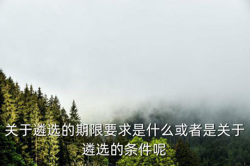 關于遴選的期限要求是什么或者是關于遴選的條件呢