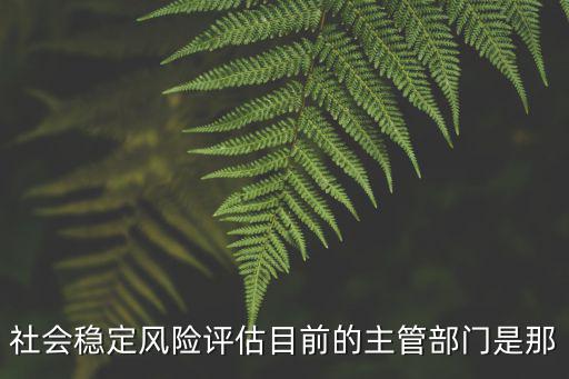 社會(huì)穩(wěn)定風(fēng)險(xiǎn)評(píng)估目前的主管部門是那