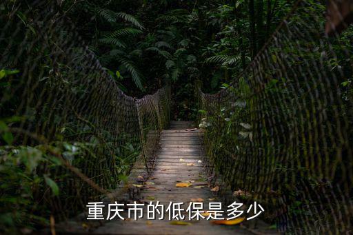 城鎮低保重慶市巫溪城鎮低保標準，重慶市的低保是多少