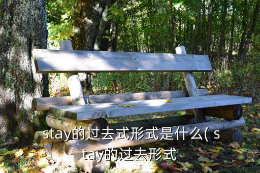  stay的過去式形式是什么( stay的過去形式