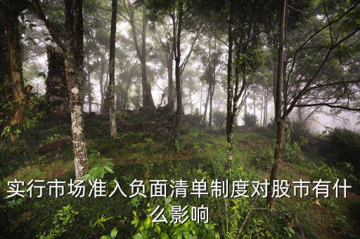 實(shí)行市場(chǎng)準(zhǔn)入負(fù)面清單制度對(duì)股市有什么影響