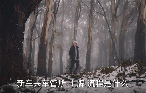 新車去車管所 上牌 流程是什么