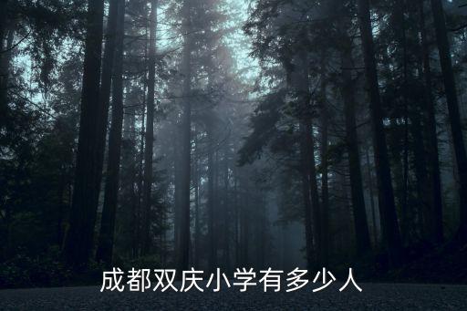 成都雙慶小學有多少人