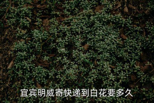 宜賓明威寄快遞到白花要多久