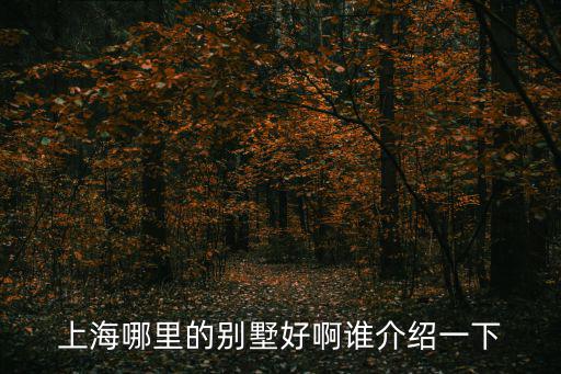 上海哪里的別墅好啊誰(shuí)介紹一下