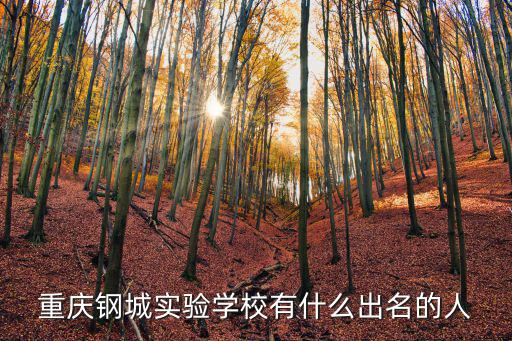 重慶市鋼城實驗中學(xué)校草，實驗中學(xué)的校草是誰啊