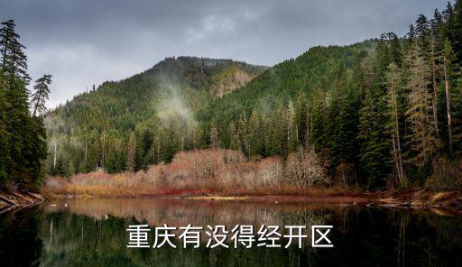 重慶市經開區政府網，重慶經濟技術開發區管委會的網址是多少