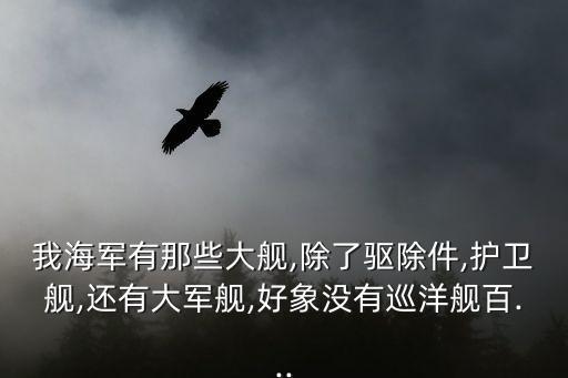 我海軍有那些大艦,除了驅除件,護衛艦,還有大軍艦,好象沒有巡洋艦百...