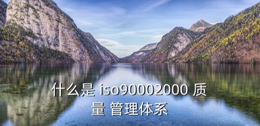 什么是 iso90002000 質(zhì)量 管理體系