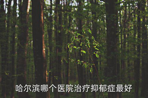 哈爾濱哪個(gè)醫(yī)院治療抑郁癥最好