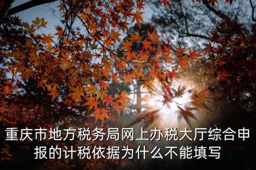 重慶市地方稅務局網上辦稅大廳綜合申報的計稅依據為什么不能填寫