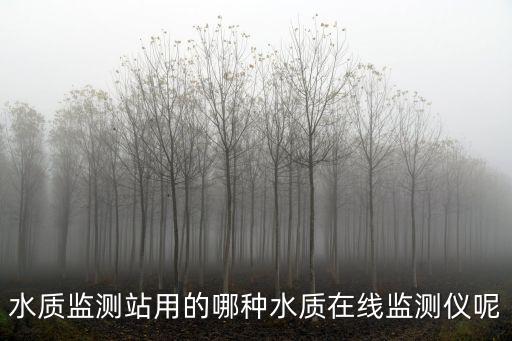 水質監測站用的哪種水質在線監測儀呢