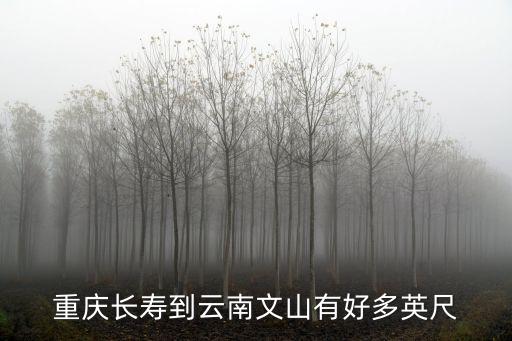 重慶長壽到云南文山有好多英尺