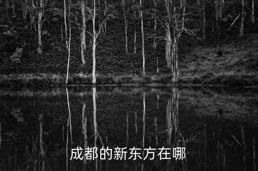 成都的新東方在哪