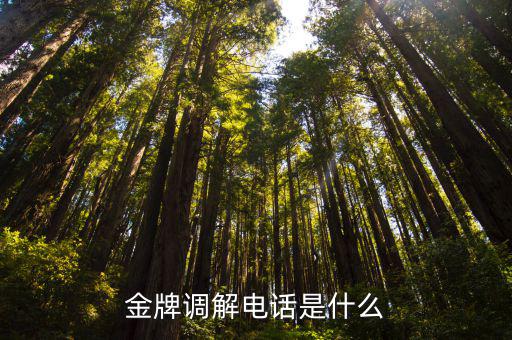 金牌調解電話是什么
