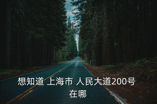 想知道 上海市 人民大道200號(hào) 在哪