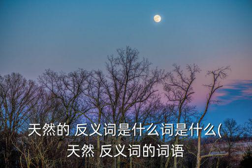  天然的 反義詞是什么詞是什么( 天然 反義詞的詞語