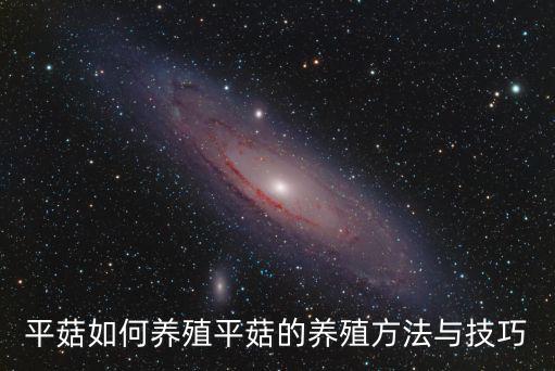 平頭菇,功效與作用:舒筋活絡平菇有助改善新陳代謝