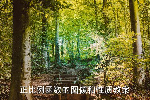正比例教案，正比例函數的圖像和性質教案