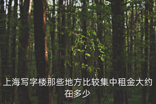 上海中心大廈一層租金多少，上海的1室1廳的租金大概多少錢