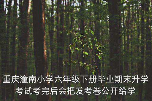 重慶市潼南區鄭緯宇，重慶潼南小學六年級下冊畢業期末升學考試考完后會把發考卷公開給學