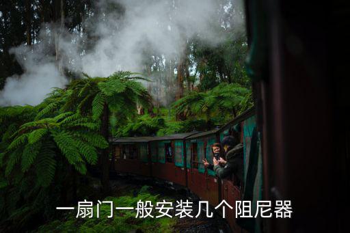 一扇門一般安裝幾個阻尼器