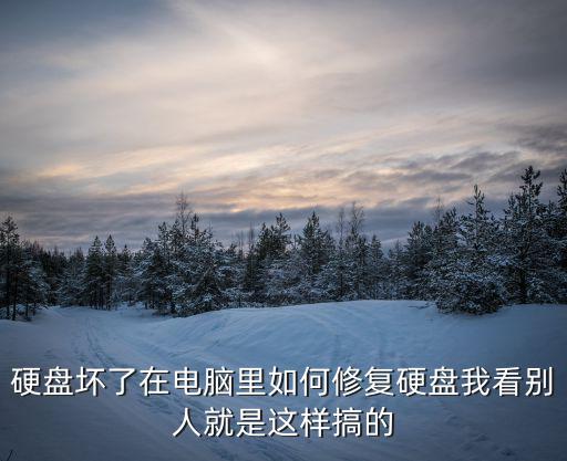 硬盤壞了在電腦里如何修復硬盤我看別人就是這樣搞的