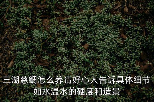 三湖慈鯛怎么養(yǎng)請(qǐng)好心人告訴具體細(xì)節(jié)如水溫水的硬度和造景