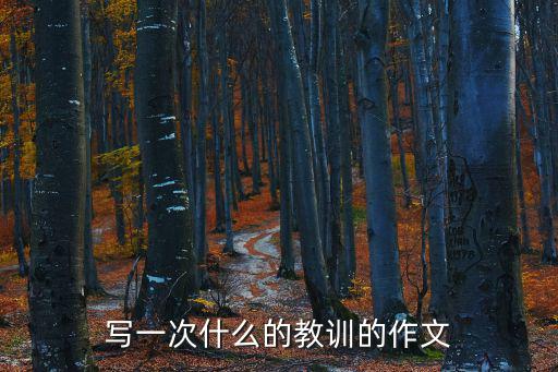 寫一次什么的教訓的作文