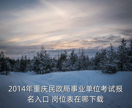 民政局社工招聘重慶市，2014年重慶民政局事業單位考試報名入口 崗位表在哪下載