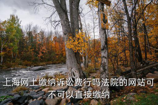 上海網上訴訟服務平臺app，上海網上繳納訴訟費行嗎法院的網站可不可以直接繳納
