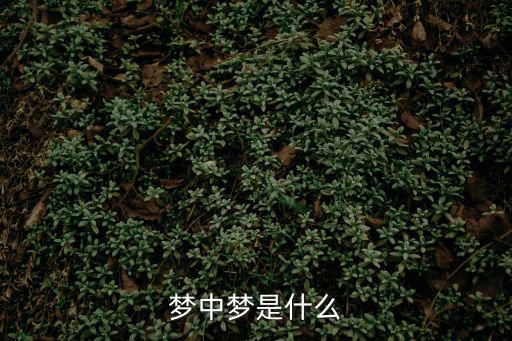 夢中夢是什么