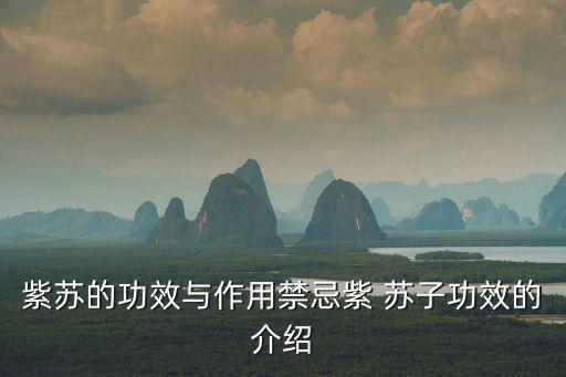 蘇子籽的功效與作用及禁忌