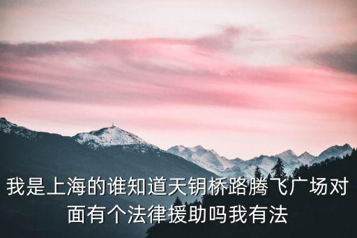 我是上海的誰知道天鑰橋路騰飛廣場對面有個法律援助嗎我有法