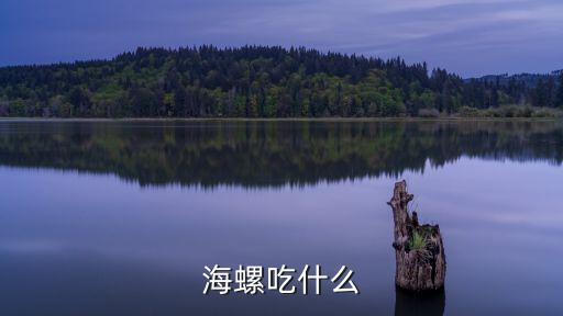 海螺怎么吃，海螺怎么做了好吃