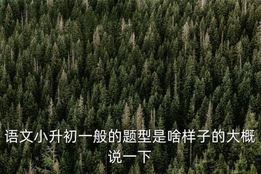 語文小升初一般的題型是啥樣子的大概說一下