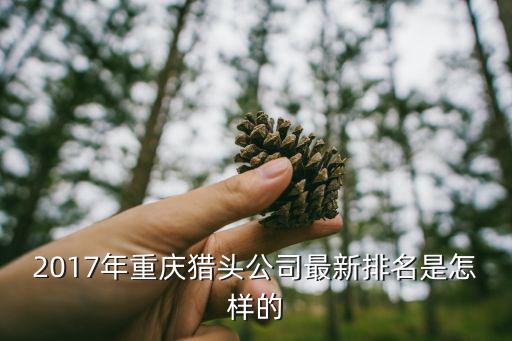 重慶市公職單位排名，重慶會計師事務所排名